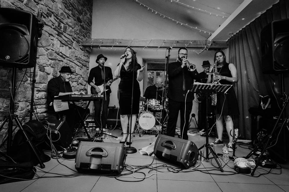 Jessica and the Rabbits