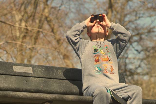 Bird hunting