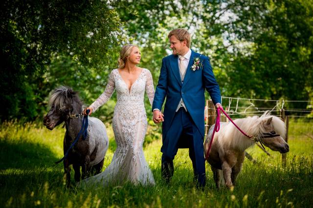 Bride & Groom with horses