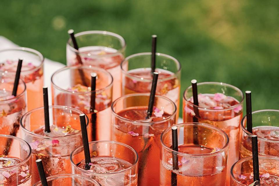 A dozen roses cocktail