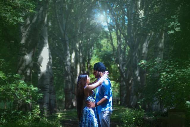 Enchanted forest