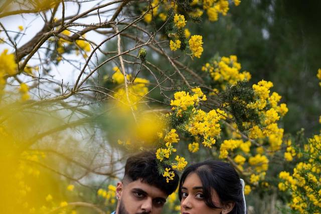 Amidst the flowers