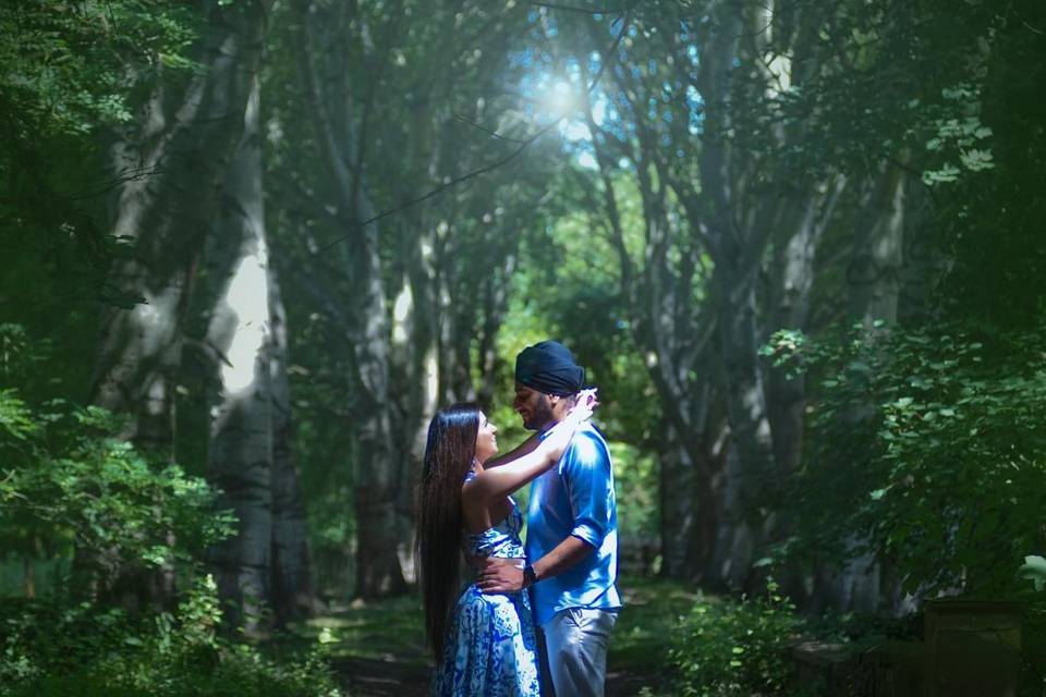 Enchanted forest