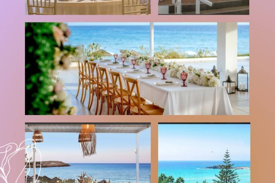 Nissi Aiya Napa Wedding