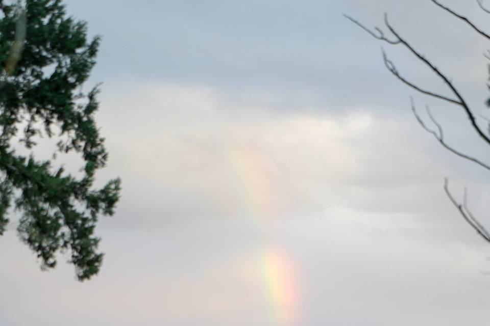 Rainbow