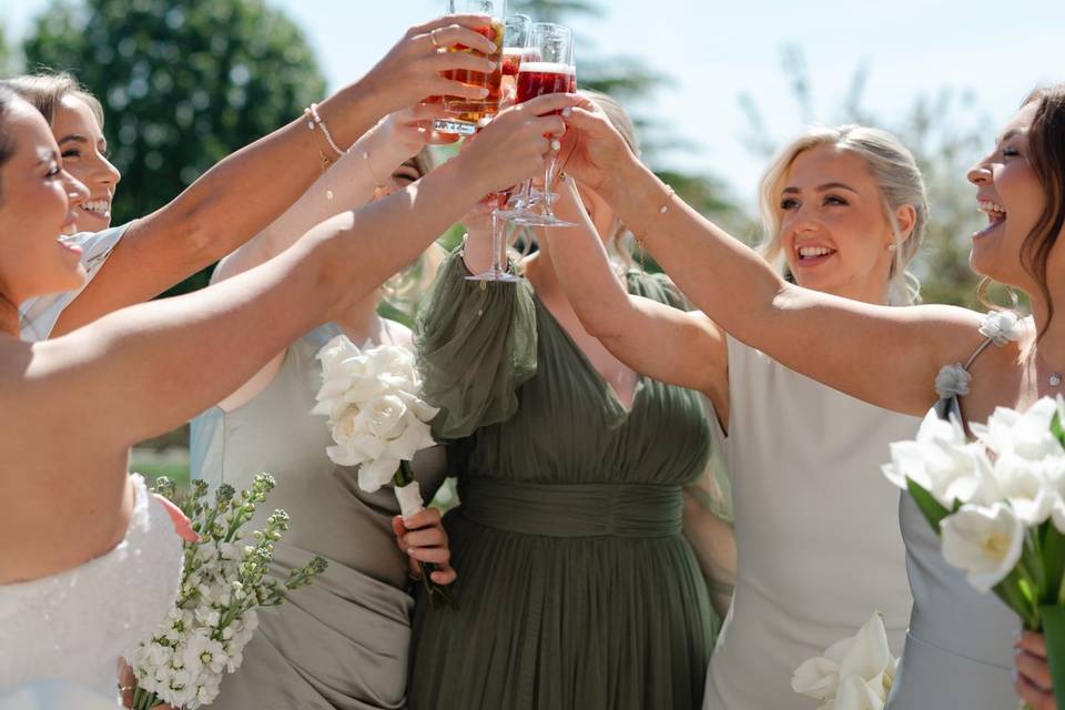 Bride toasting the Bridesmaids