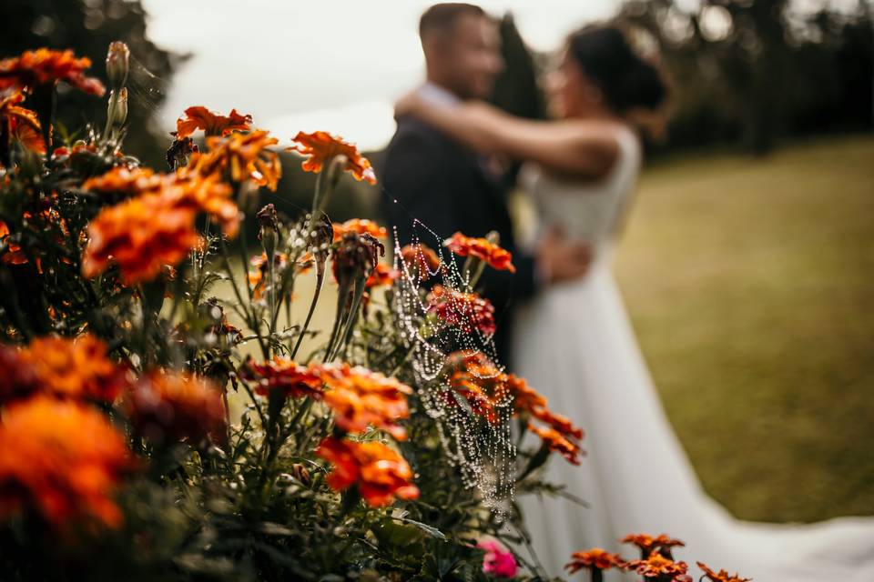 Beaford House Hotel