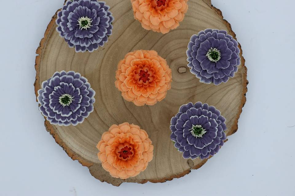 Orange and purple on wood slice