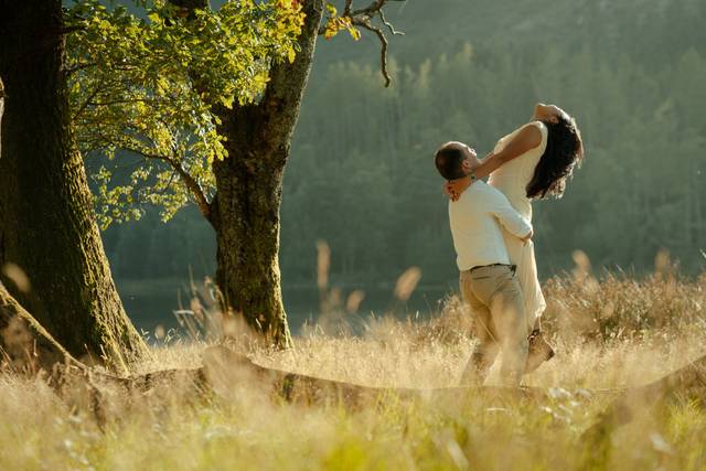 The romantic escape under oak