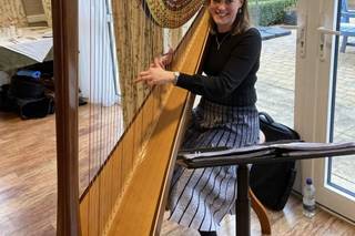 Jill Reynolds Harpist