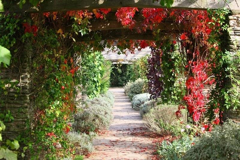 The Pergola in autumn