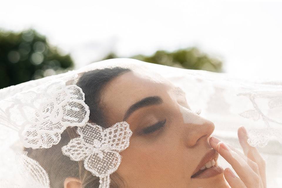 Pronovias Veil