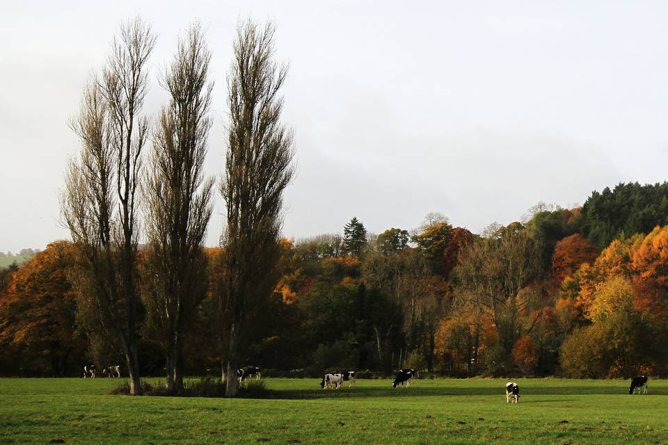 Bickleigh Castle in Winter