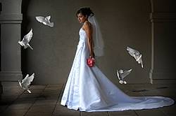 White Wedding Doves