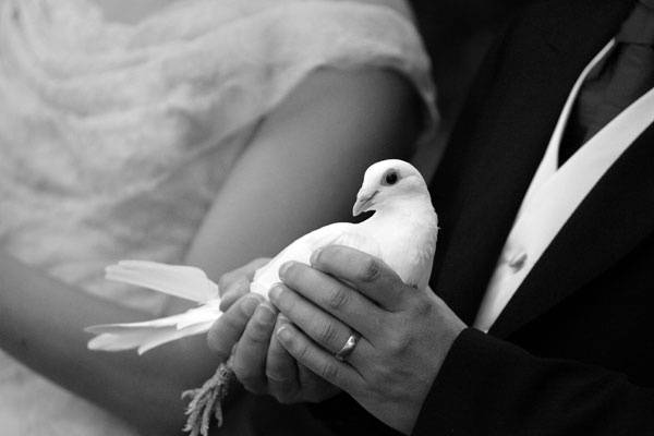 Dove Release Ceremony