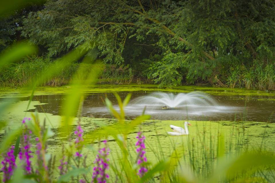 Rosewood stud lake fountain