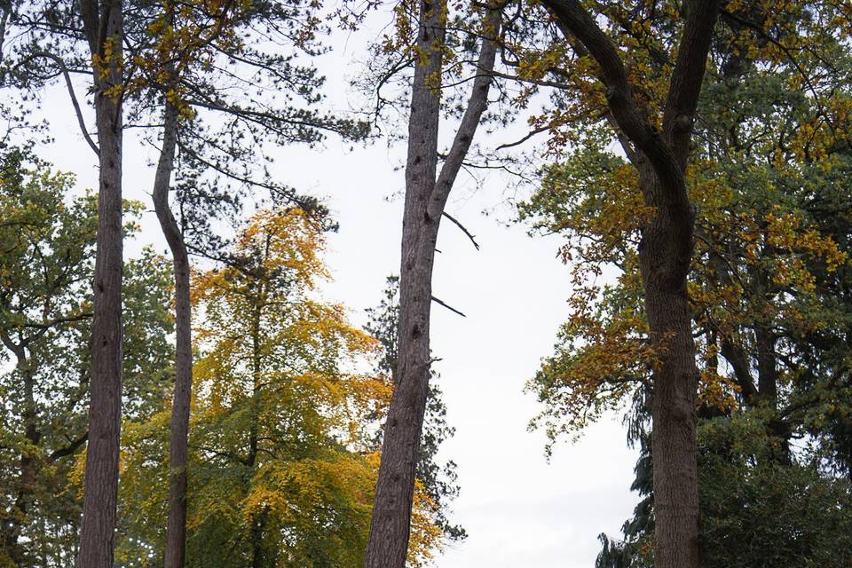 The beautiful Hogarths!