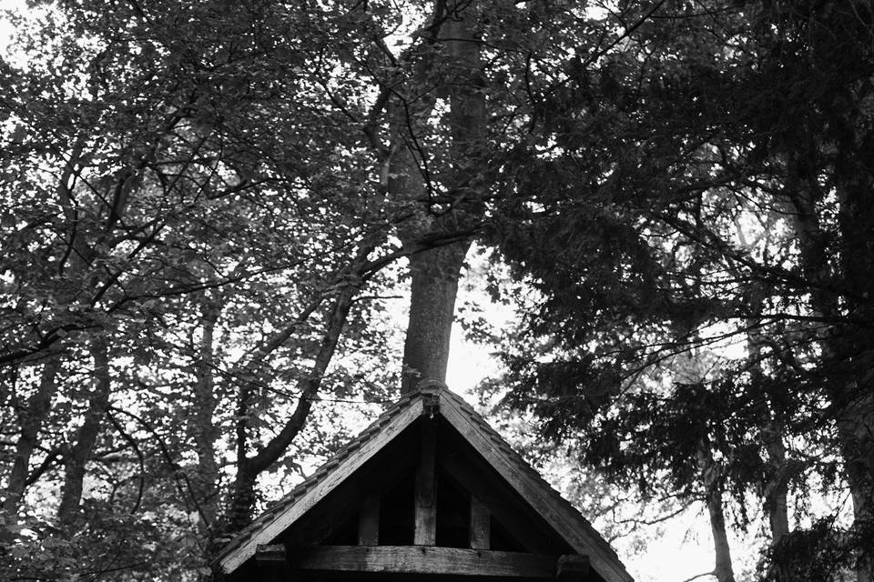 The wonderful Moor Hall Hotel