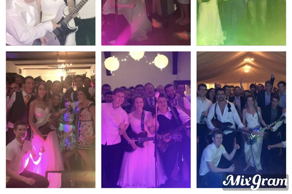 Collage of weddings!