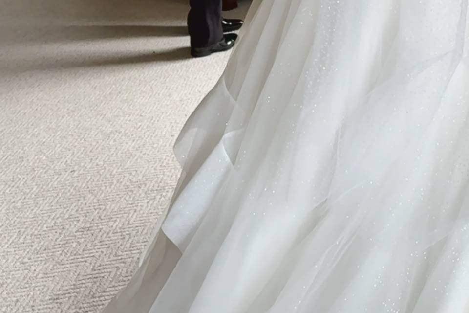 Dress reveal