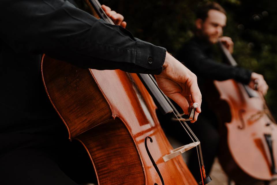 String Quartet Alternative