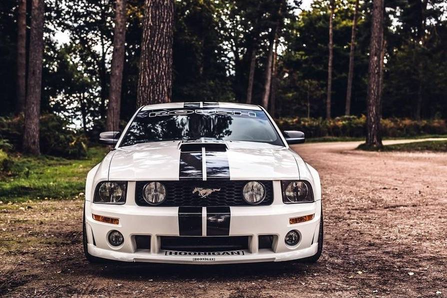 Race Mustang