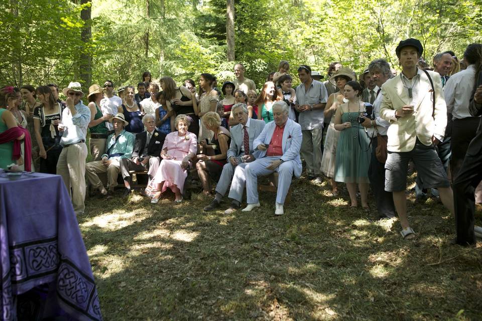 Under the boughs of the ancient oak tree