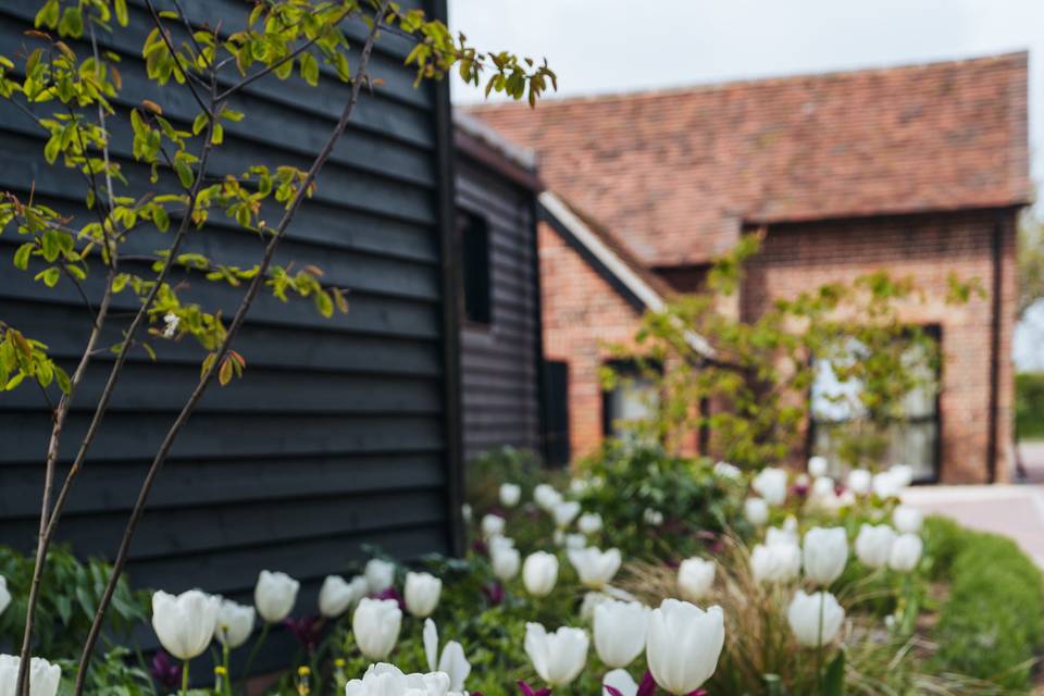 Vine Lodge - Gardens