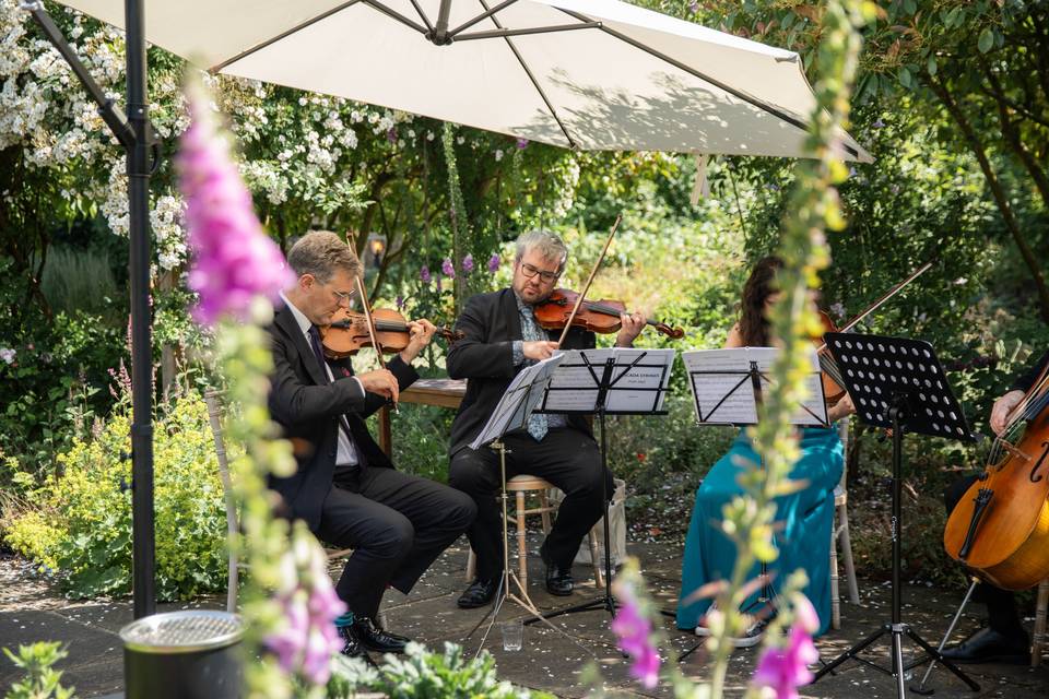 Live Music in the Gardens