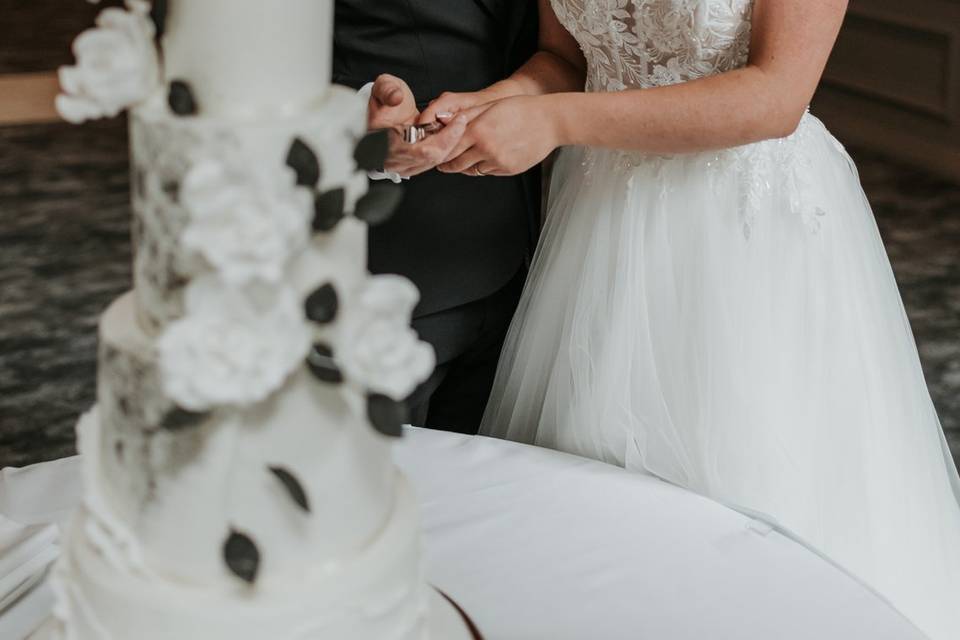 Cake Cutting