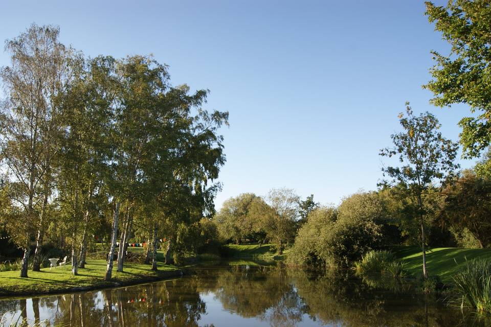 Peaceful lake views