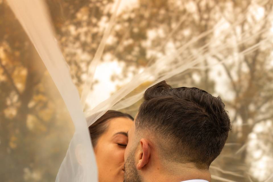 Love a veil shot!