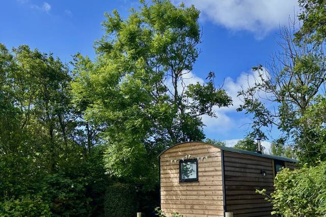 Joey's Hut - Guest Glamping