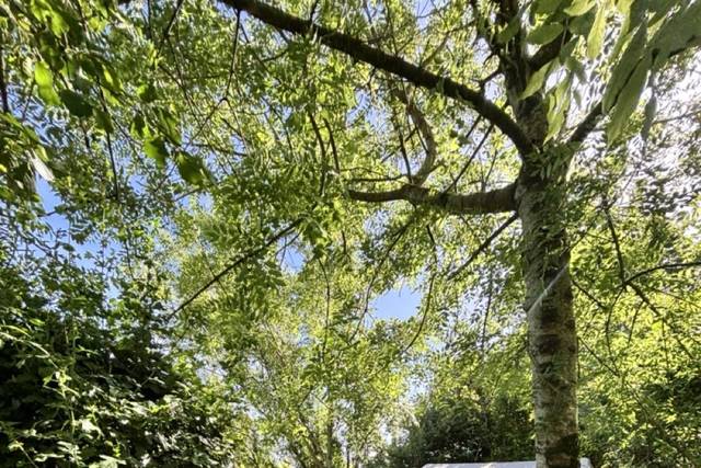 Mary's Meadow - Guest Glamping