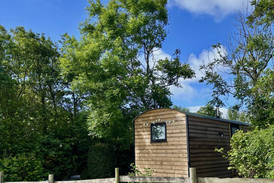 Joey's Hut - Guest Glamping