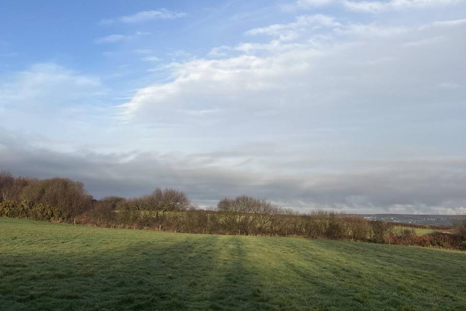Events Field