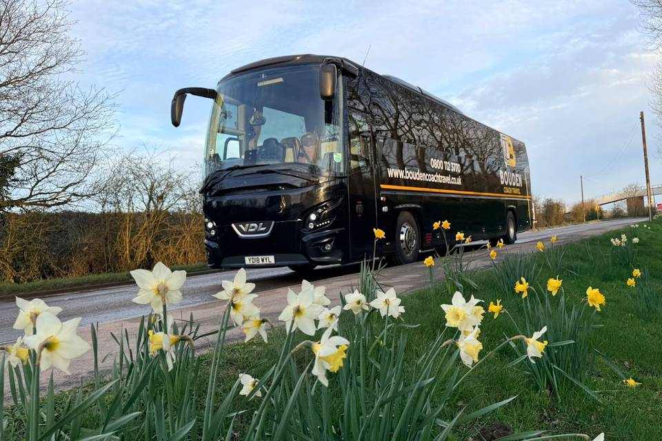 Wedding season coach