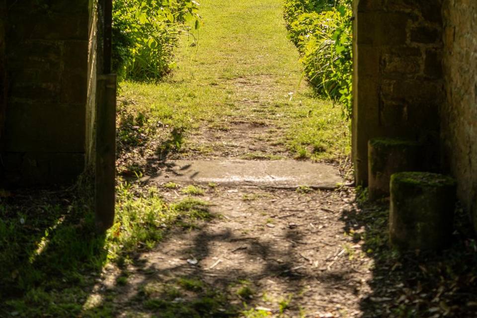 Walled Garden