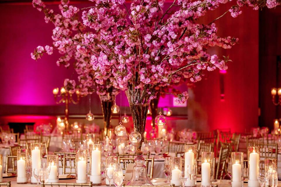 Table setting/Decor