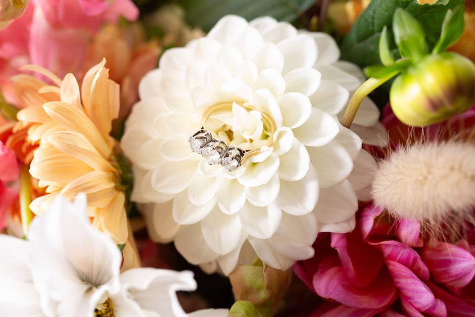 Dahlia & Ring
