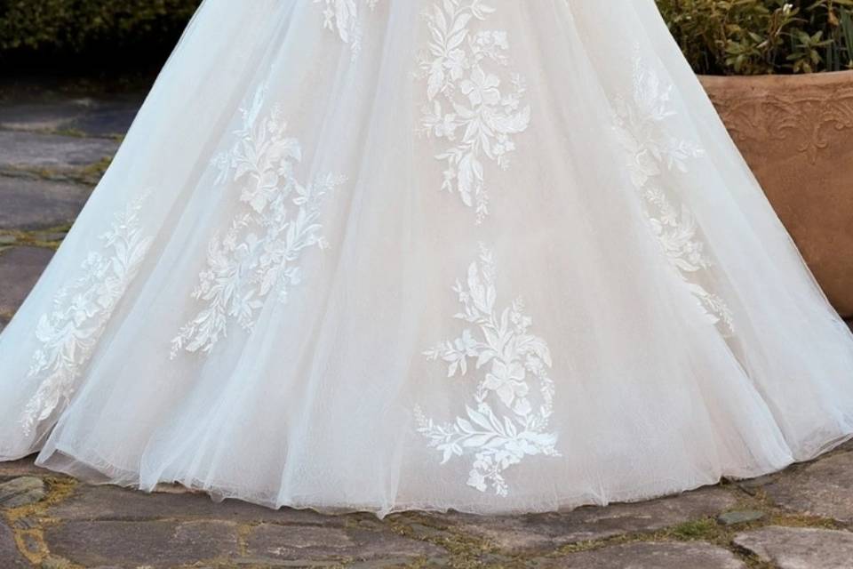 Sophia Tolli