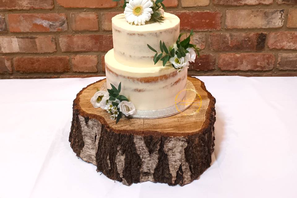 Two Tier Semi-naked Cake