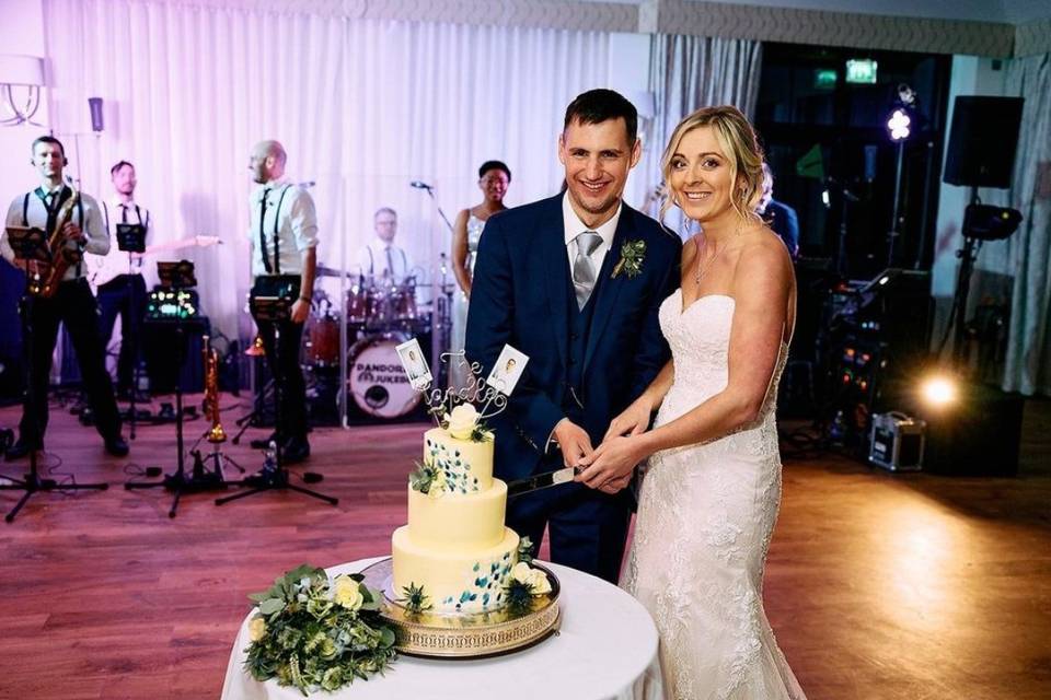 Cake Cutting - Katie & Davy