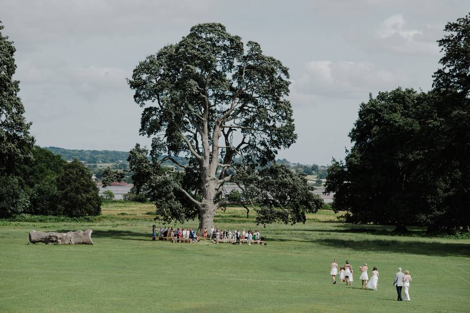 Powderham Castle