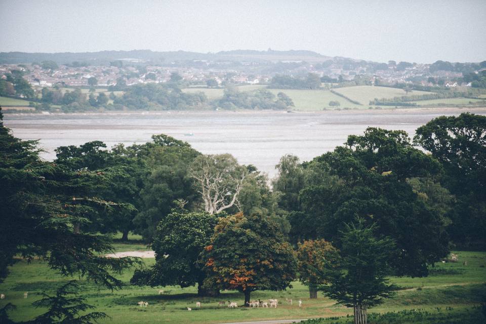 Powderham Castle