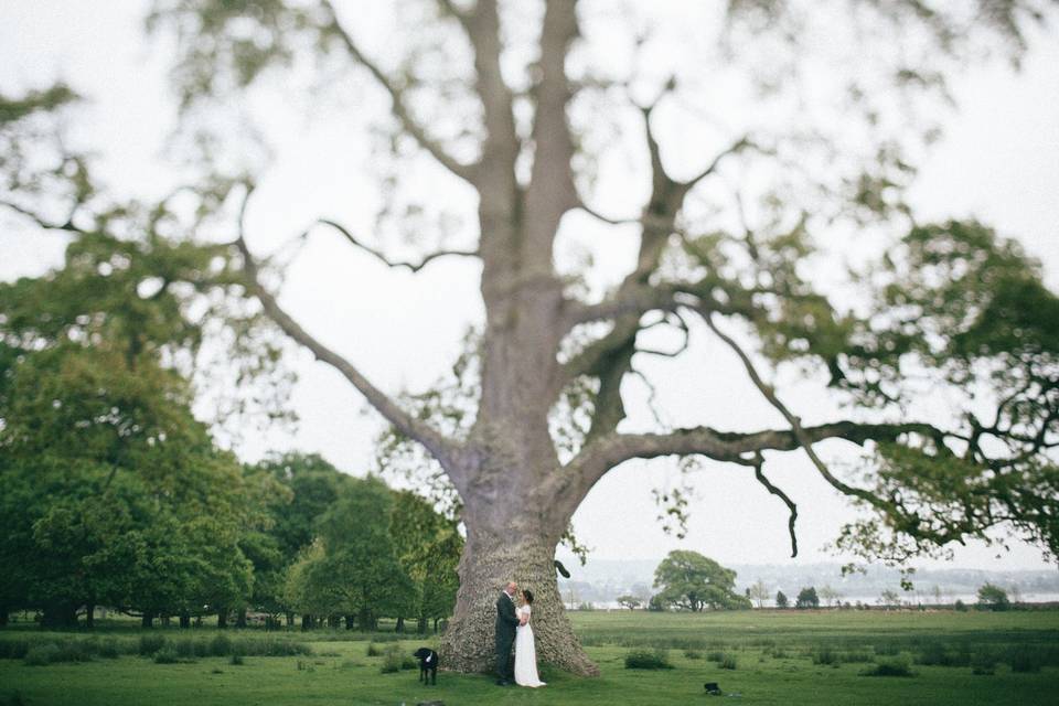 Powderham Castle