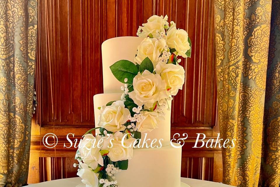 White trailing roses