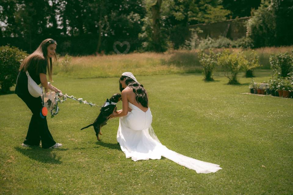 Dog Friendly Venue