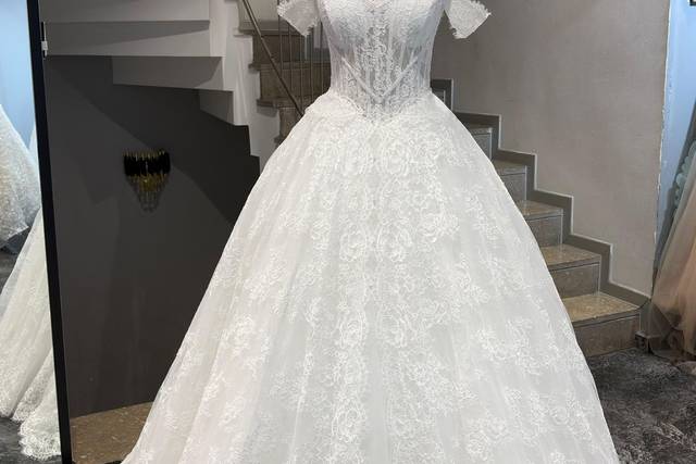 Elegan French lace Gown