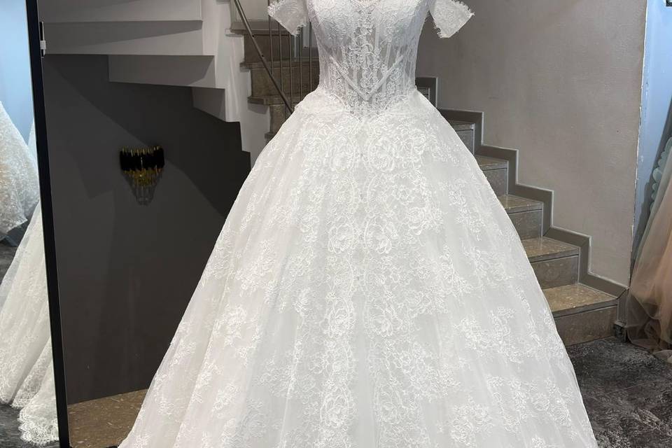 Elegan French lace Gown